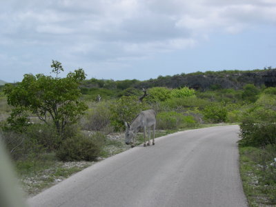g5/20/273920/3/99898909.lqtXv40R.jpg