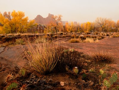 Arches National Park Color 1