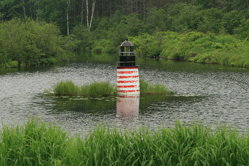 On the way to Lubec, I saw this lighthouse replica sitting in a pond by the side of the road.