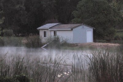 House near Calistoga (a very steamy place) in early morning