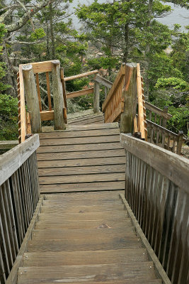 I went to Bass Harbor lighthouse. This trip, I found the steps going down to the rocks where everyone takes photos.