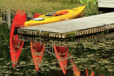 Boats and lilies outside a store on the way to Camden.  (In Camden I looked for Curtis Isl light, but no luck - fog!!)