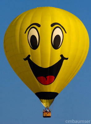 Quick Chek Festival of Ballooning 2008