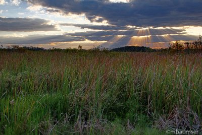 Orlando Wetlands Park Sunrise