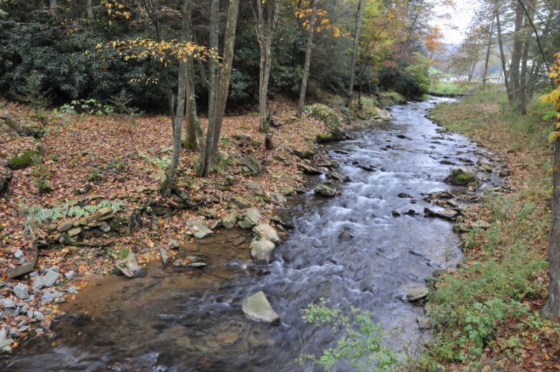 4JH_7754.jpg