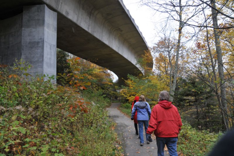 Under the Lynn Cove Viaduct on the Blue Ridge Parkway