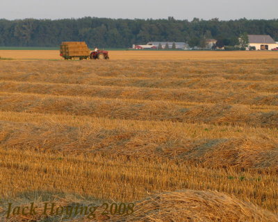 Baling Wheat Straw