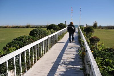 Blockade Runner Hotel beach walkway