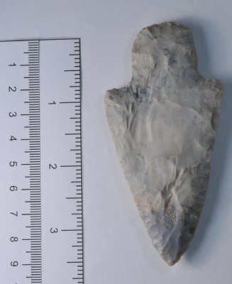 g5/20/491620/3/119086747.hAEVfseA.jpg