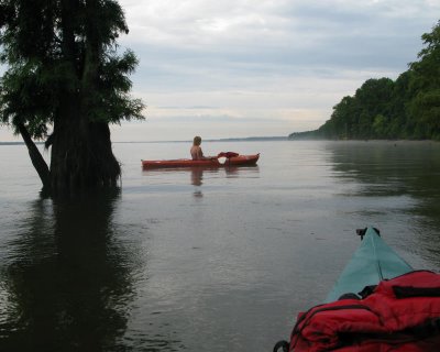 Morning Kayaking on Marion Lake