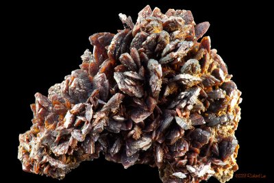 CRW_9441-Vanadinite_Descloizite.jpg