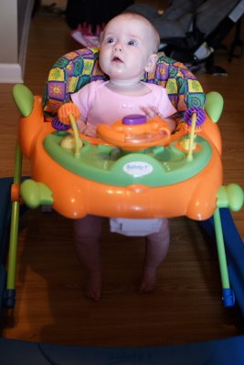 IMG_8325a.JPG