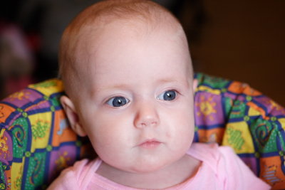 IMG_8333a.JPG