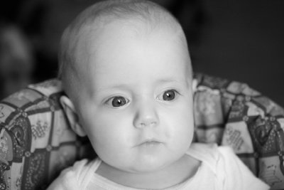 IMG_8333b.JPG