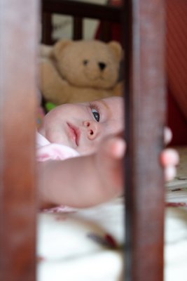 IMG_8954a.JPG
