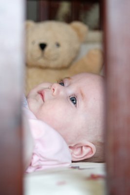 IMG_8971a.JPG