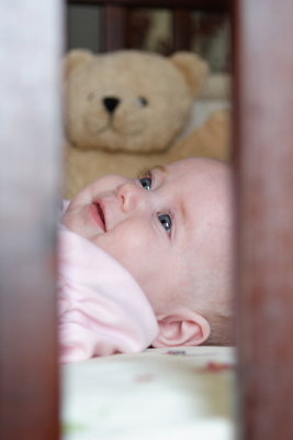 IMG_8972a.JPG