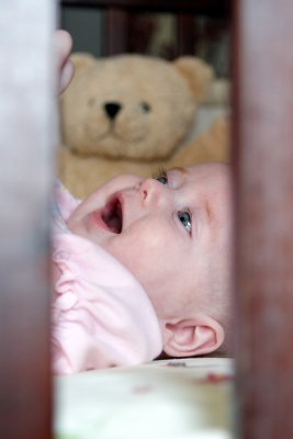 IMG_8973a.JPG