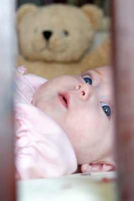 IMG_8974a.JPG