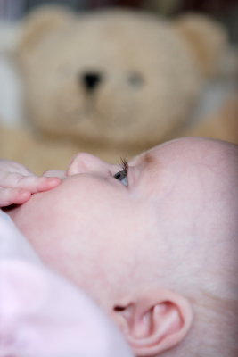 IMG_8979a.JPG