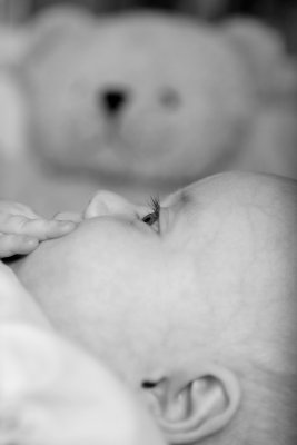 IMG_8979b.JPG