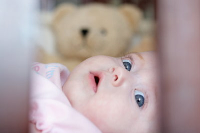 IMG_8984a.JPG