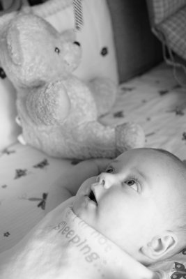 4-5_months