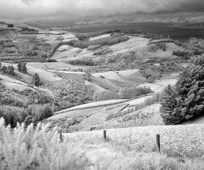 iDSC00100dunedin2.jpg