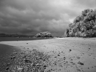 iDSC00136ulva.jpg
