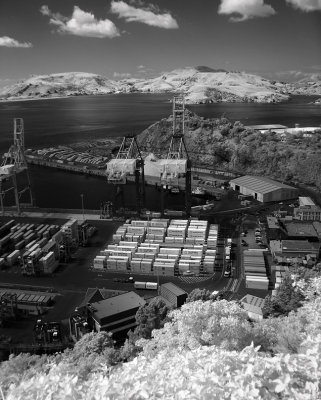 iDSC00231port.jpg