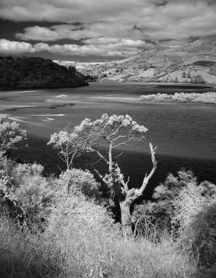 iDSC00244purakaunui.jpg