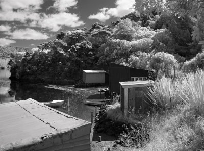 iDSC00261purakaunui.jpg