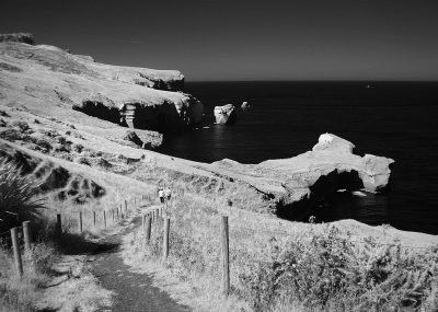 iDSC00286tunnelbeach.jpg