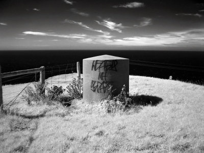 iDSC00343eastcoast.jpg