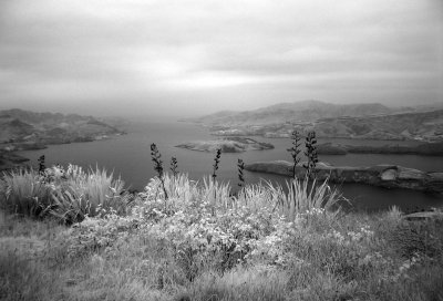 iDSC00839summit2.jpg
