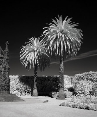 iDSC00873akaroa.jpg
