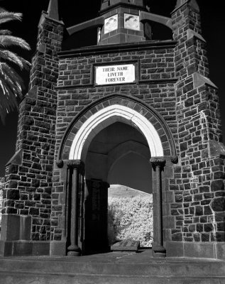 iDSC00879akaroa.jpg
