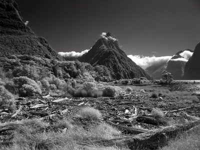 iDSC01065milford.jpg
