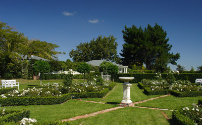 DSC01290blenheim.jpg