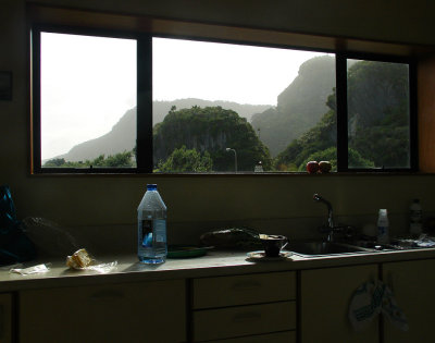 DSC01377punakaiki.jpg