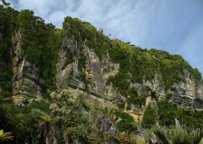 DSC01379punakaiki.jpg