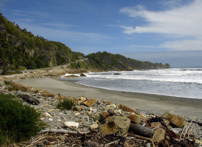 DSC01380punakaiki.jpg