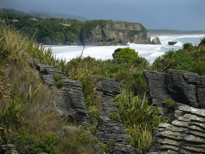 DSC01432punakaiki.jpg