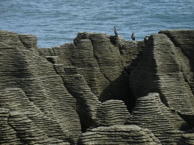DSC01438punakaiki.jpg