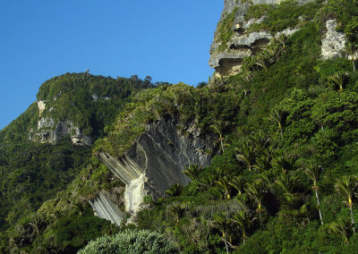 DSC07684punakaiki.jpg