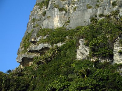 DSC07690punakaiki.jpg
