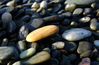 DSC07738punakaiki.jpg