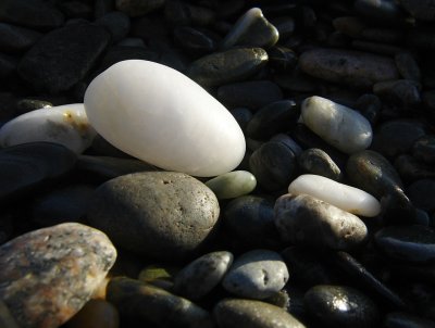 DSC07771punakaiki.jpg