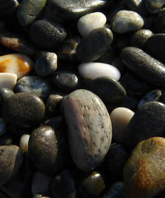 DSC07777punakaiki.jpg