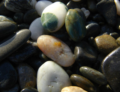 DSC07781punakaiki.jpg